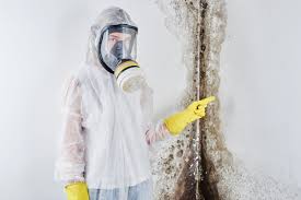 Best Attic Mold Removal  in West Conshohocken, PA